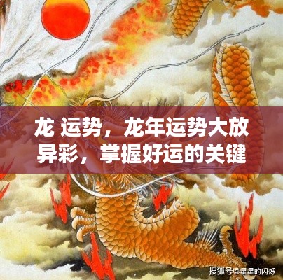 掌握龙年运势精髓，好运大放异彩！