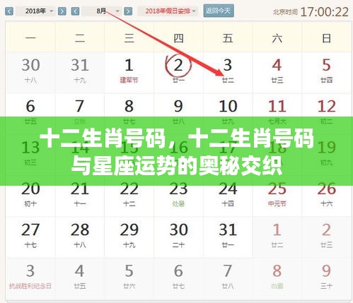 十二生肖号码与星座运势交织的奥秘探索