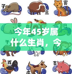 今年四十五岁属相运势解析，生肖特征与个人运势展望