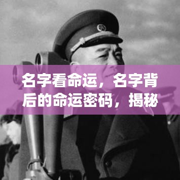 名字与命运的神秘联系，揭秘名字背后的命运密码及其影响人生轨迹的微妙联系