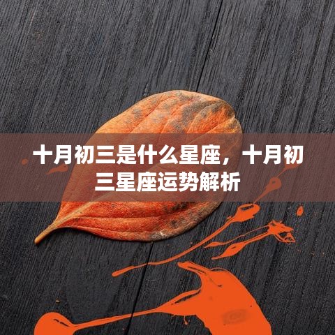 十月初三星座运势解析及特点概览