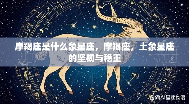 摩羯座，土象星座的坚韧与稳重特性探究