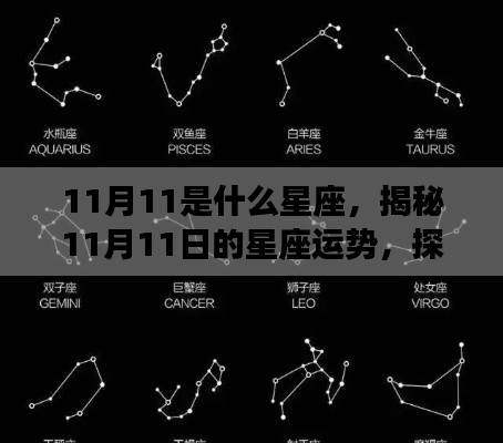 揭秘11月11日的星座运势与星辰轨迹，探寻属于你的星座命运