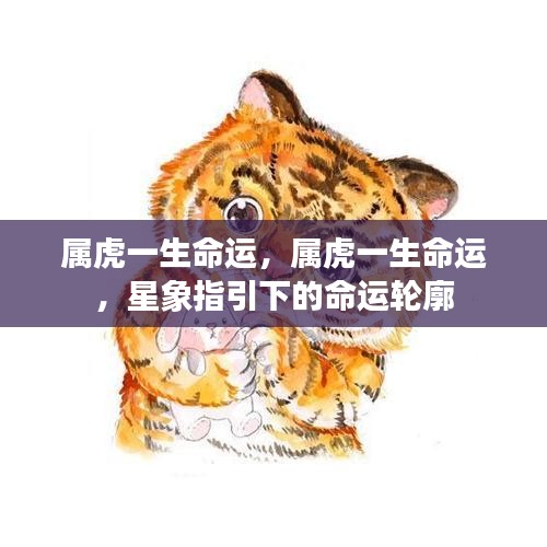 属虎一生命运，属虎一生命运，星象指引下的命运轮廓