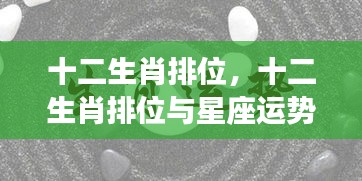 十二生肖排位与星座运势深度解析