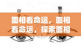 面相与命运的微妙联系，探索面相在人生轨迹中的影响