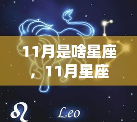 揭秘十一月星座运势，天蝎座与射手座的神秘面纱与运势解析