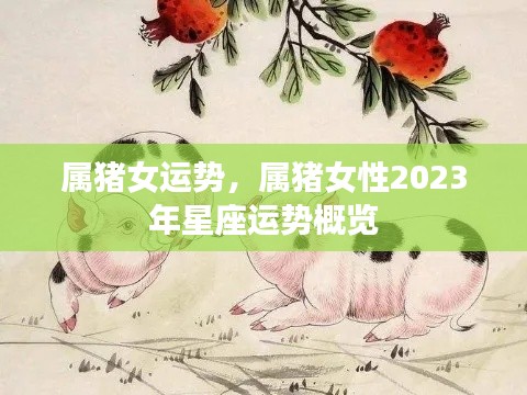 属猪女性2023年运势概览，星座运势展望