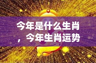 今年生肖运势展望，探寻属于你的星辰轨迹与生肖运势展望