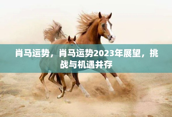 肖马运势2023年展望，挑战与机遇并存