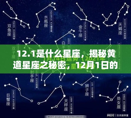 揭秘黄道星座之谜，12月1日的星座运势解析与星座性格特征探索