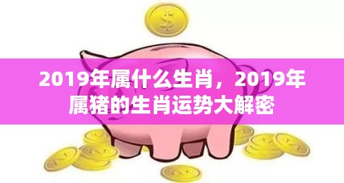 2019年属猪生肖运势全面解析