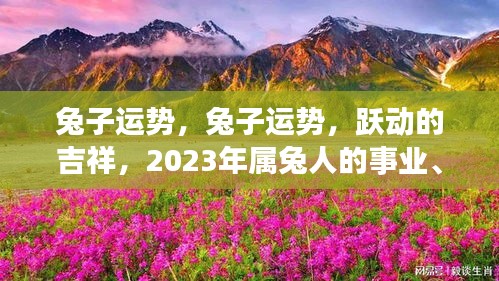 2023年属兔人的事业、财富与健康运势详解，跃动的吉祥运势展望