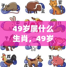 揭秘，49岁属何种生肖？生肖运势与人生轨迹一览无余。