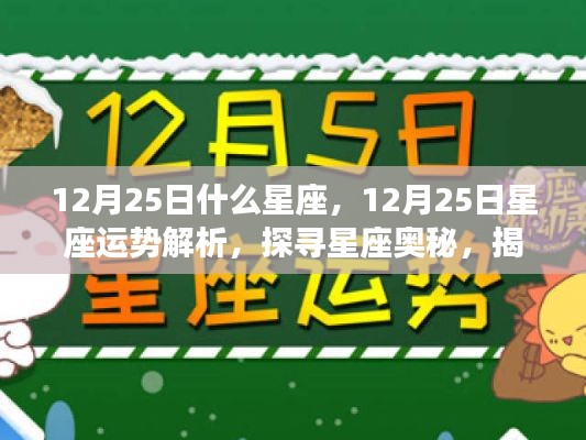 揭秘节日之星，12月25日星座运势解析与奥秘探寻