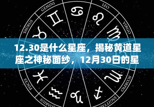 揭秘黄道星座之神秘面纱，12月30日星座运势解析及运势特点