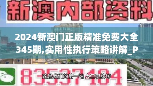 2024新澳门正版精准免费大全345期,实用性执行策略讲解_Phablet110.120