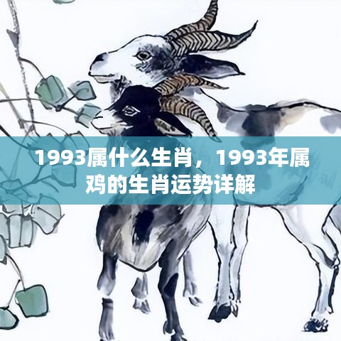 1993年属鸡人的生肖运势详解