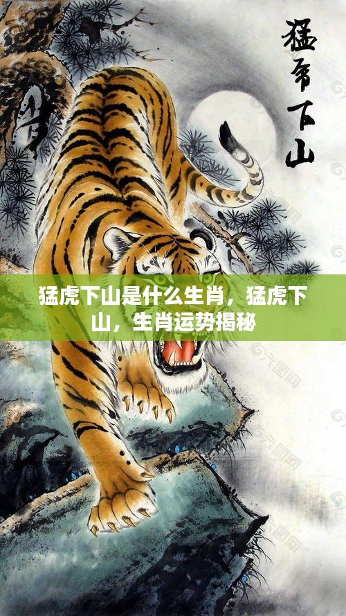 猛虎下山，揭秘生肖运势与神秘力量