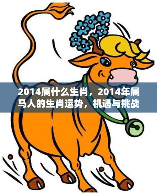 2014年属马人的生肖运势，机遇与挑战并存的一年