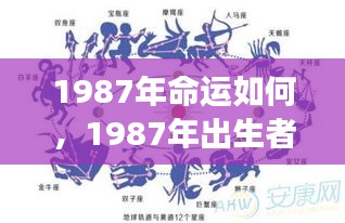 1987年出生者的命运展望与星座运势解析，全面解读未来走向