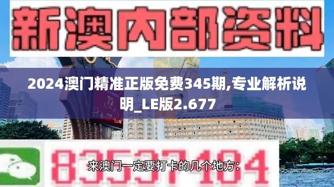 2024澳门精准正版免费345期,专业解析说明_LE版2.677