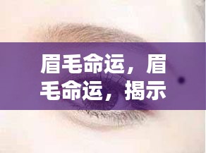 眉毛命运揭秘，探索眉型预知未来运势走向的神秘力量