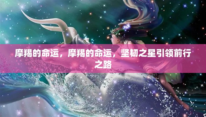 摩羯命运揭秘，坚韧之星领航前行之路