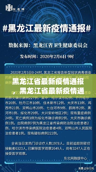 黑龙江省最新疫情通报及其对星座运势的影响分析摘要