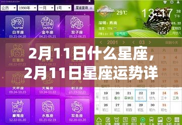 揭秘，2月11日星座性格与运势详解，掌握未来走向！