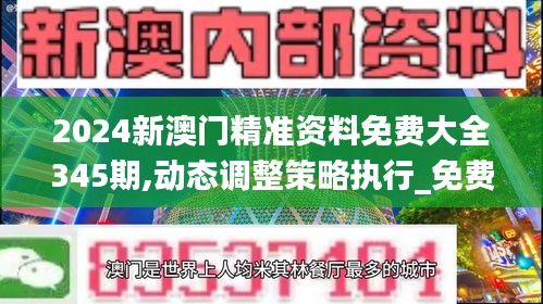 2024新澳门精准资料免费大全345期,动态调整策略执行_免费版13.450