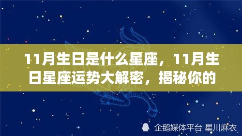 揭秘十一月星座运势与性格特征，星座命运大解密！