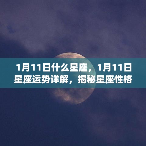 揭秘1月11日星座运势与性格特征，洞悉未来走向