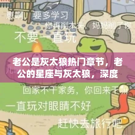 灰太狼老公，星座情感深度解读与运势关联探讨