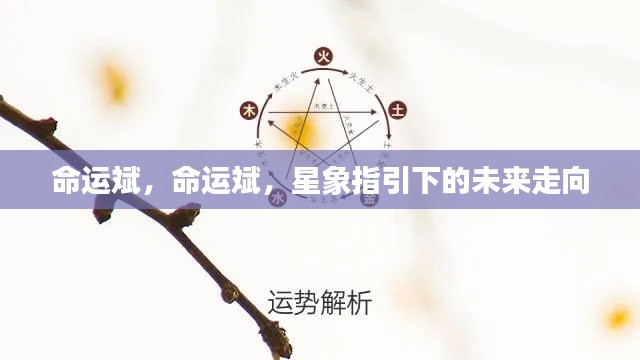 星象指引，命运斌的未来走向探索