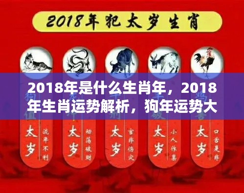 揭秘2018狗年运势，生肖运势详解与运势大揭秘