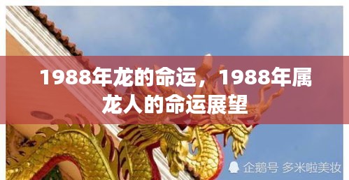 1988年属龙人的命运展望与运势解析