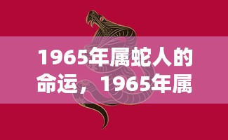 1965年属蛇人的命运解析，波折与机遇并存，命运之星指引