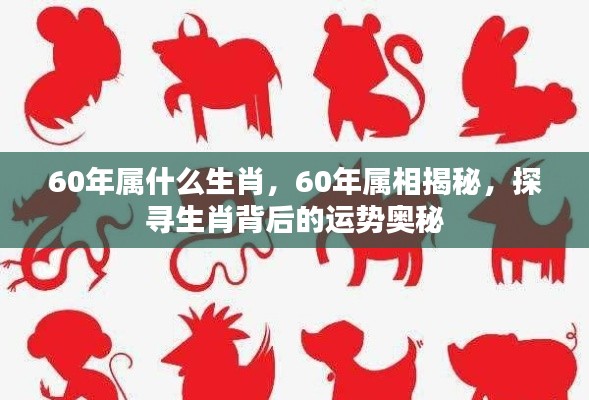 探寻生肖奥秘，揭秘属鼠人的运势秘密（60年属相深度解析）