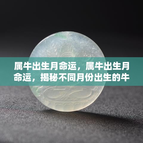 属牛出生月份与命运解析，揭秘不同月份出生的牛年运势差异