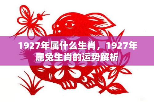 1927年属兔运势解析，生肖兔的运势与命运展望