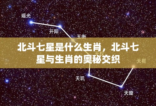 北斗七星与生肖的奥秘交织，探索七星生肖之谜