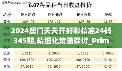 2024澳门天天开好彩精准24码345期,精细化策略探讨_Prime4.242