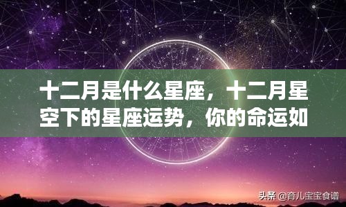 十二月星座运势解析，星空下的命运展望