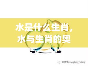 水元素生肖的神秘魅力，探寻生肖与水的奥秘交织