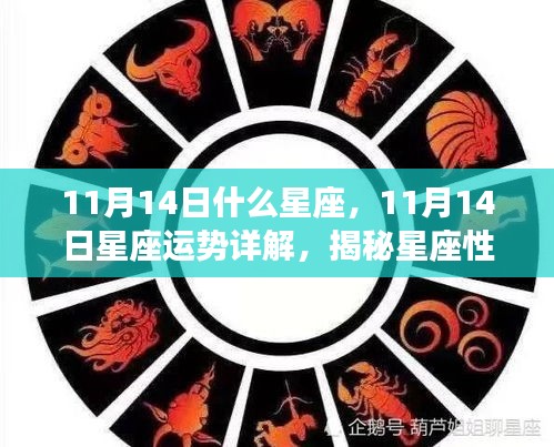 揭秘星座性格魅力与未来走向，11月14日星座运势详解及星座属性解析