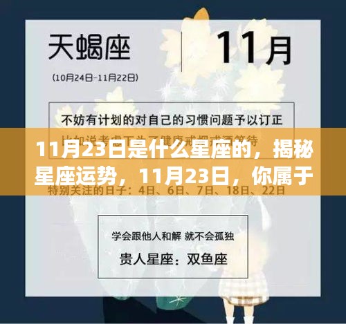 揭秘11月23日的星座运势与特征，你的星座属性是什么？