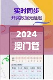 2024澳门管家婆一肖346期,精细化策略探讨_T1.365