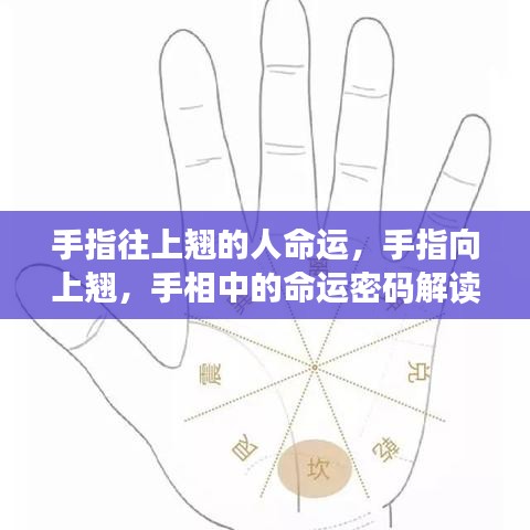 运势 第89页