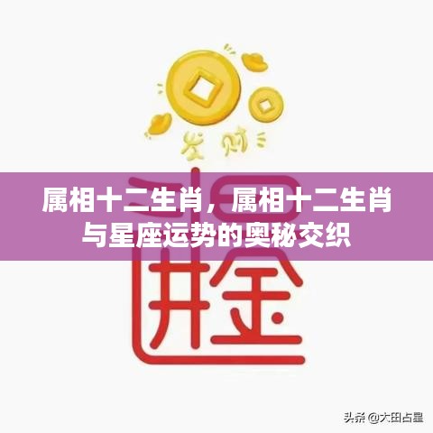 属相十二生肖与星座运势交织的奥秘探索